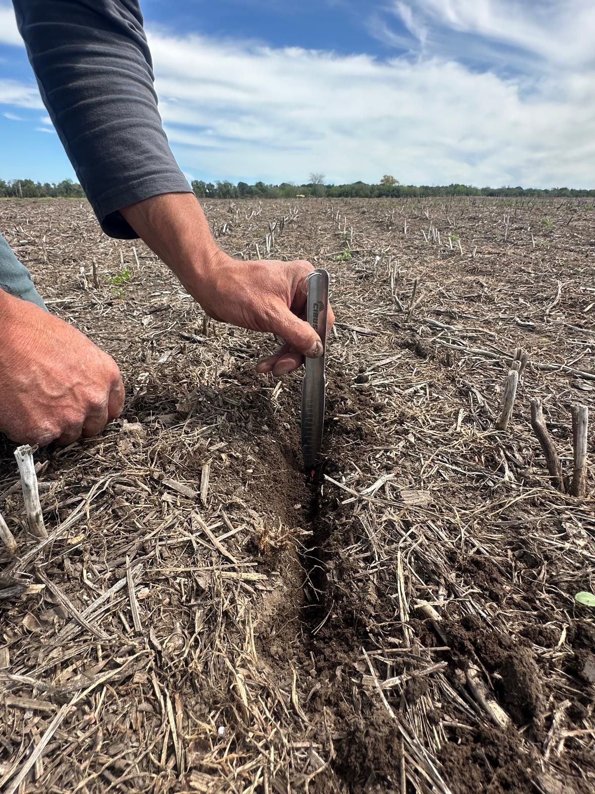 Asesoramiento técnico
